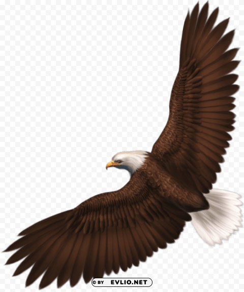  Eagle HighQuality Transparent PNG Isolation