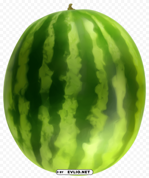 watermelon Transparent art PNG clipart png photo - d498dbec