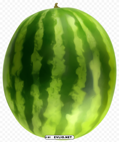 watermelon Isolated Graphic with Transparent Background PNG