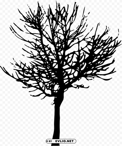 tree silhouette PNG Graphic with Isolated Transparency