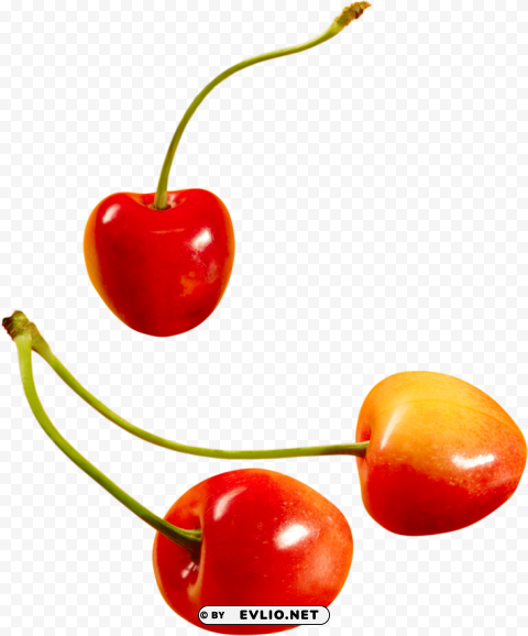 cherry PNG picture PNG images with transparent backgrounds - Image ID c31eb70c