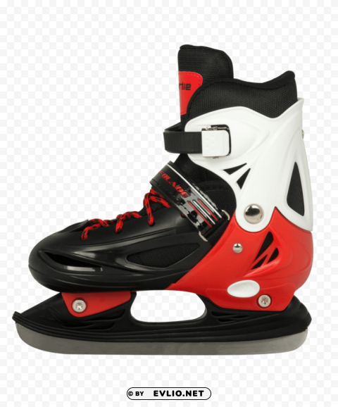 ice skates Clean Background Isolated PNG Art