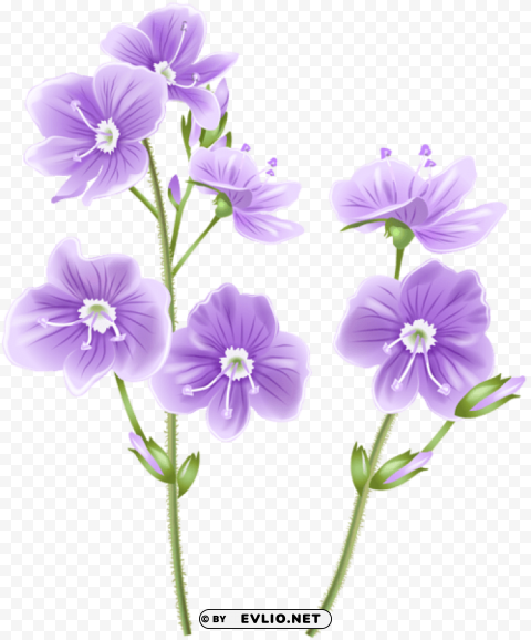 Wild Flower PNG Transparent Graphics Comprehensive Assortment