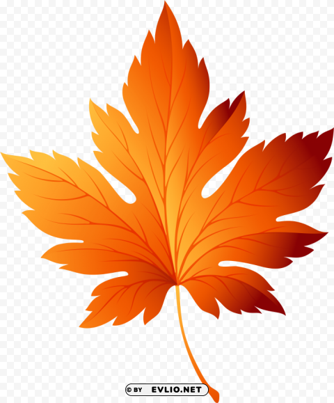 autumn leaf transparent background Isolated Object with Transparency in PNG
