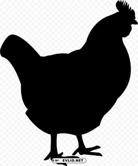chicken PNG Graphic Isolated on Clear Backdrop