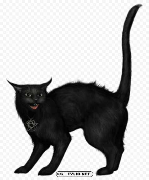 creepy black cat Clear PNG pictures package png images background -  image ID is e9b260e8