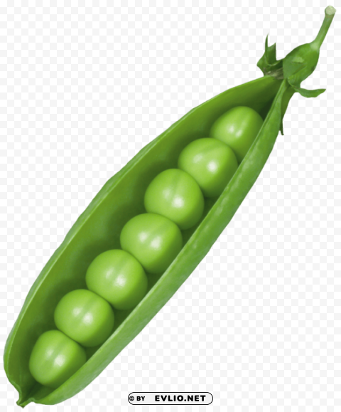 pea PNG Image with Transparent Background Isolation