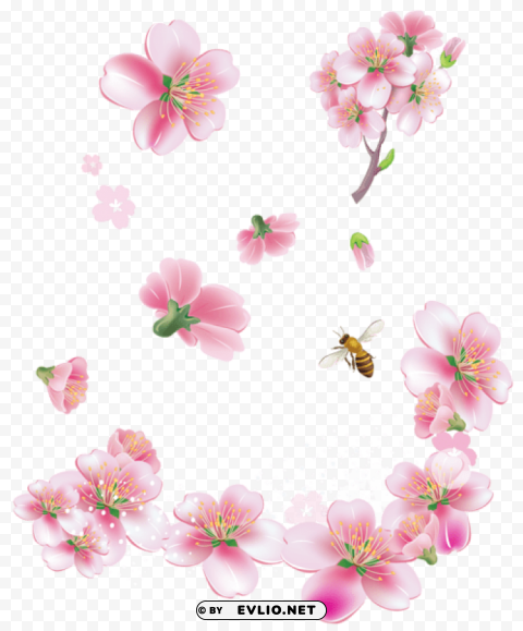 spring pink trees flowers PNG images for banners