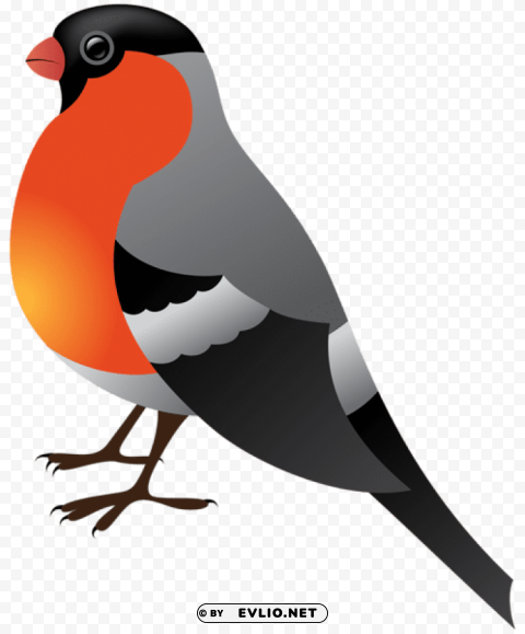 winter bird Isolated Character in Clear Transparent PNG