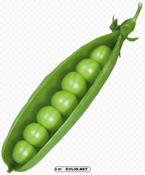 Pea Pod HighResolution Transparent PNG Isolation