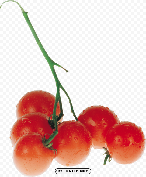 red tomatoes Clear PNG file
