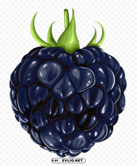 blackberry fruit PNG images with alpha transparency wide collection