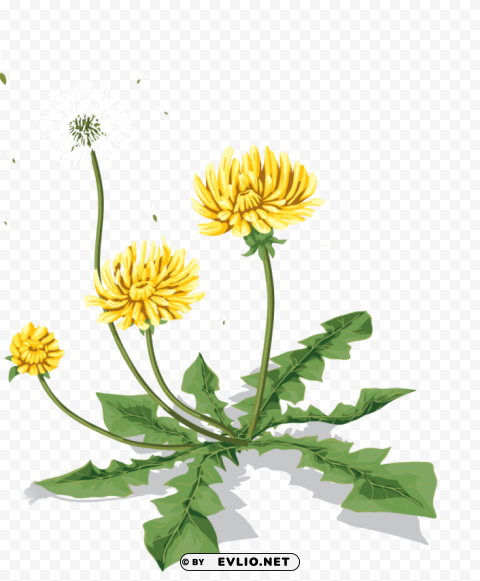 dandelion ClearCut PNG Isolated Graphic
