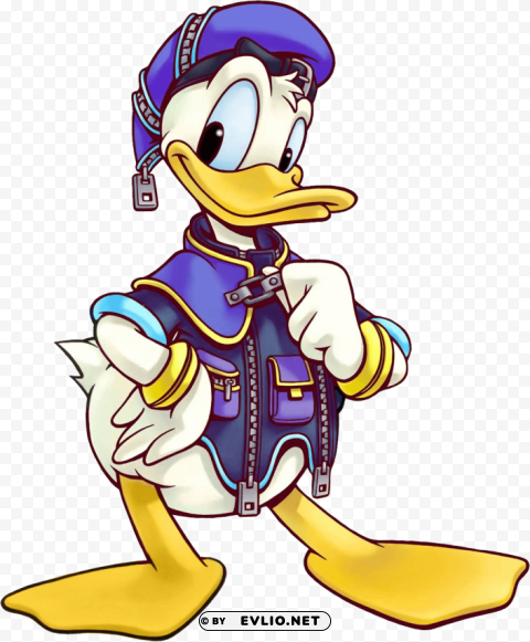 donald duck Clear PNG pictures assortment