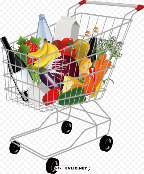 food shopping vector Clear Background Isolated PNG Icon PNG transparent with Clear Background ID b0494e5f