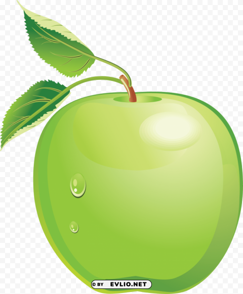 green apple's PNG with no background required clipart png photo - c2683f28