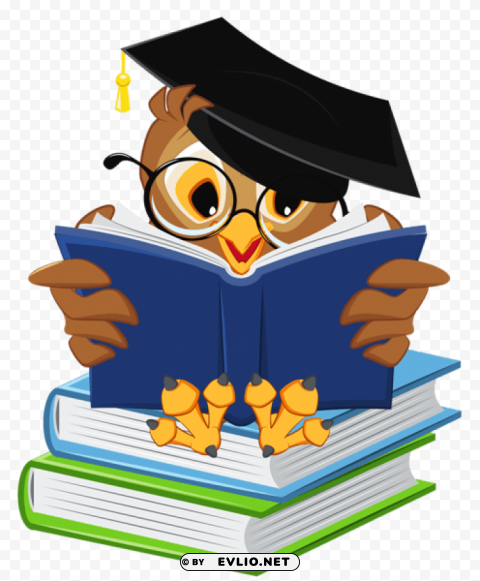 owl with school bookspicture High-definition transparent PNG
