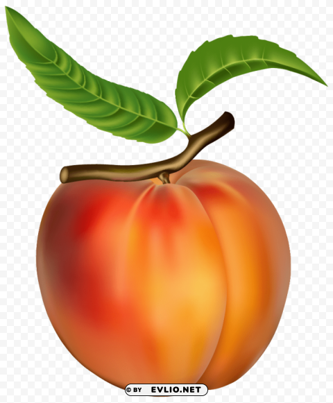 peach PNG images with alpha transparency wide selection