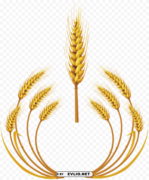 Wheat PNG images with alpha channel selection