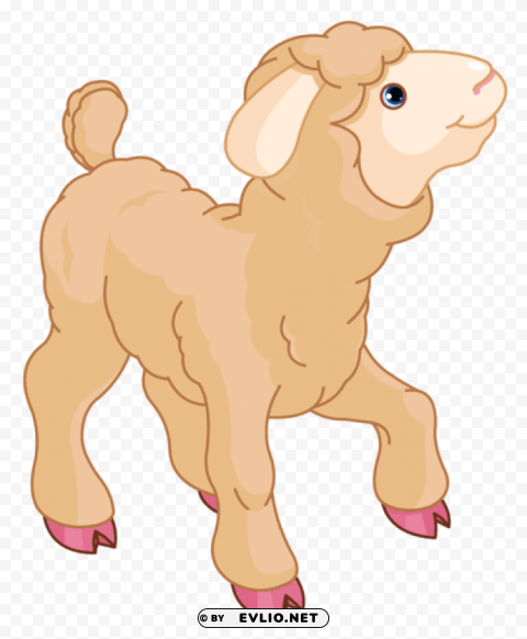 little lamb PNG graphics with clear alpha channel selection