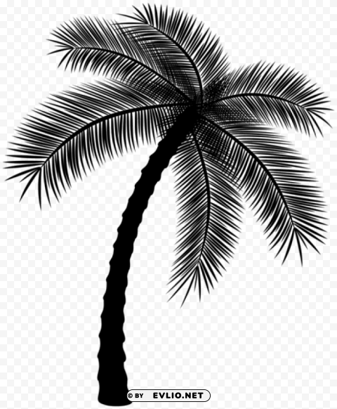 palm silhouette PNG images with alpha transparency diverse set
