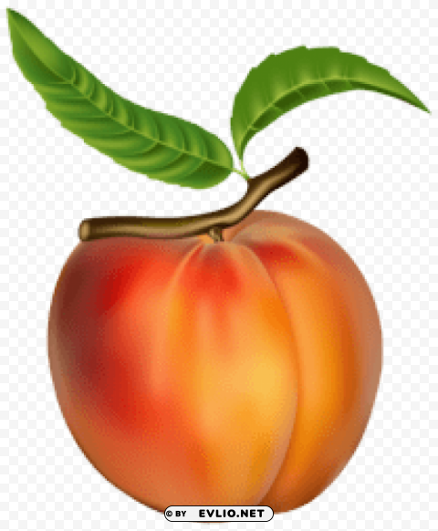 peach Isolated Icon in Transparent PNG Format
