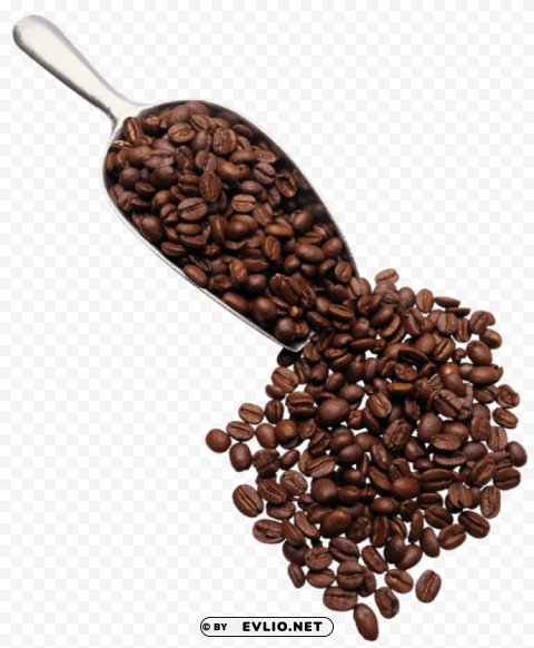  coffee HighResolution Transparent PNG Isolation