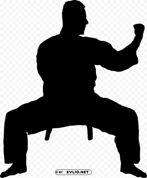 karate silhouette PNG images with transparent canvas compilation