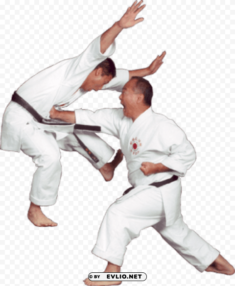 karate fighters PNG Image with Clear Isolation