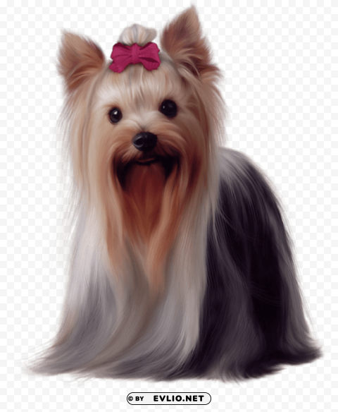 painted yorkshire terrier Isolated Graphic with Transparent Background PNG