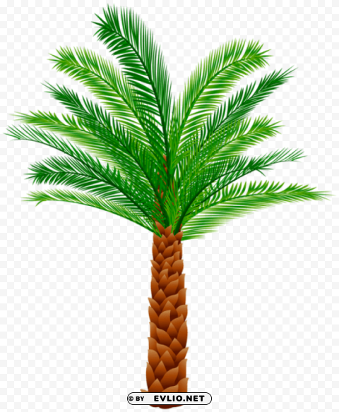 PNG image of palm Isolated Graphic Element in HighResolution PNG with a clear background - Image ID 87e95ede