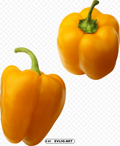 Pepper PNG For T-shirt Designs