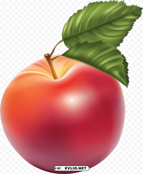 red apple Transparent background PNG artworks
