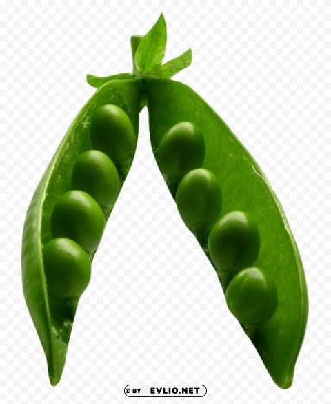 pea PNG Image with Isolated Graphic