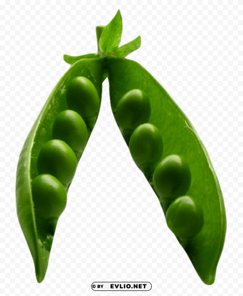 Pea PNG Image With Isolated Graphic