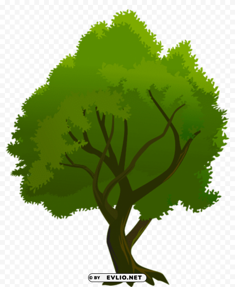 tree green PNG high resolution free