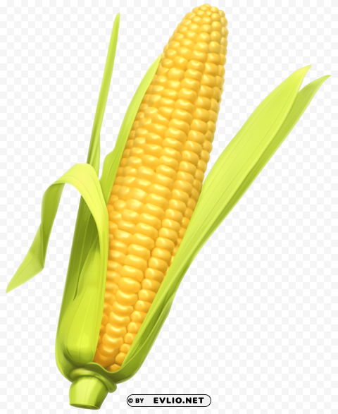 corn ClearCut Background PNG Isolation