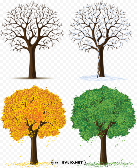 four seasons trees Isolated Item with Clear Background PNG