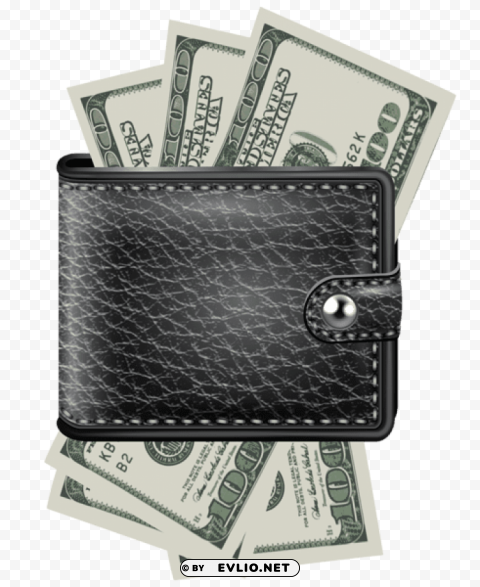 wallet with bills Isolated Element in HighQuality PNG
