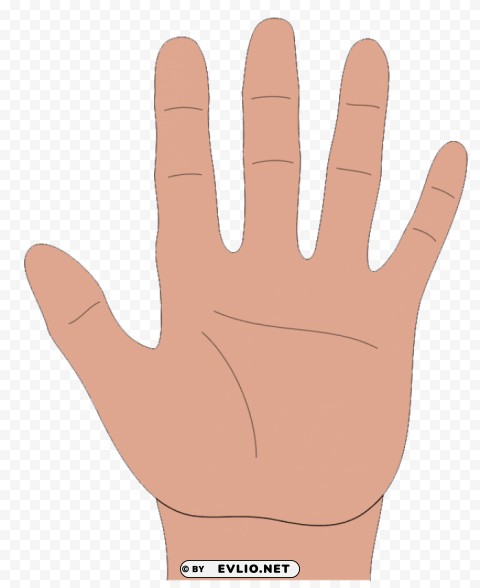 hands Transparent background PNG images comprehensive collection