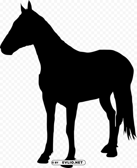 horse silhouette High-resolution transparent PNG images assortment
