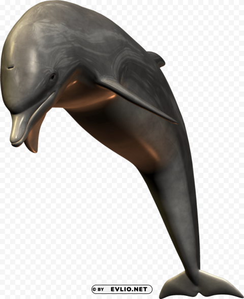 silver bottlenose dolphin jumping Isolated Item on HighResolution Transparent PNG