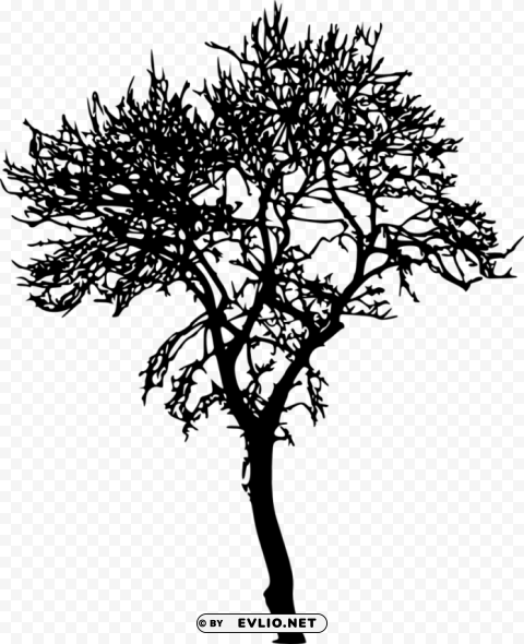 bare tree silhouette Isolated Character in Transparent Background PNG