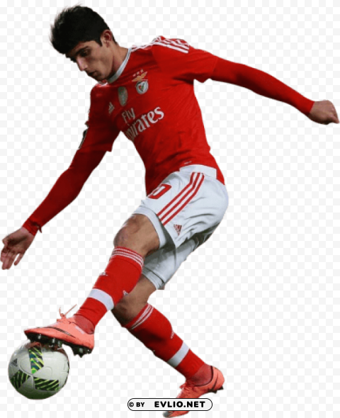 Download gonçalo guedes Transparent Cutout PNG Graphic Isolation png images background ID 72c9dedd