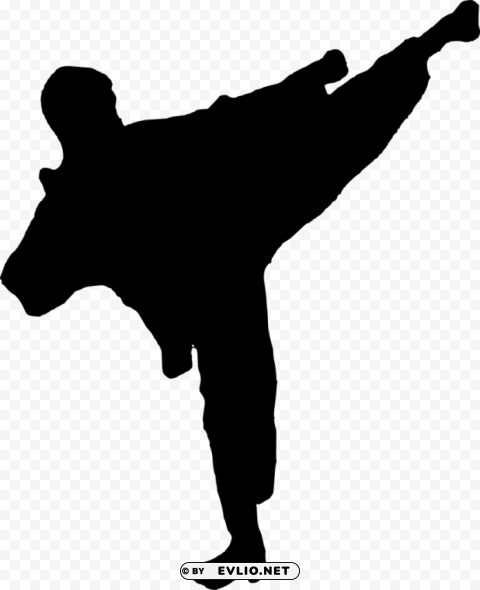karate silhouette PNG images with transparent elements pack