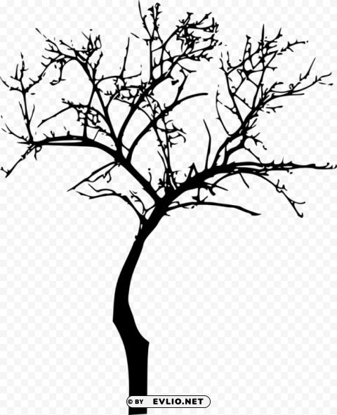 bare tree silhouette Isolated Artwork on Transparent Background PNG