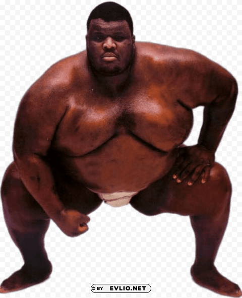 sumo american wrestler Clear pics PNG
