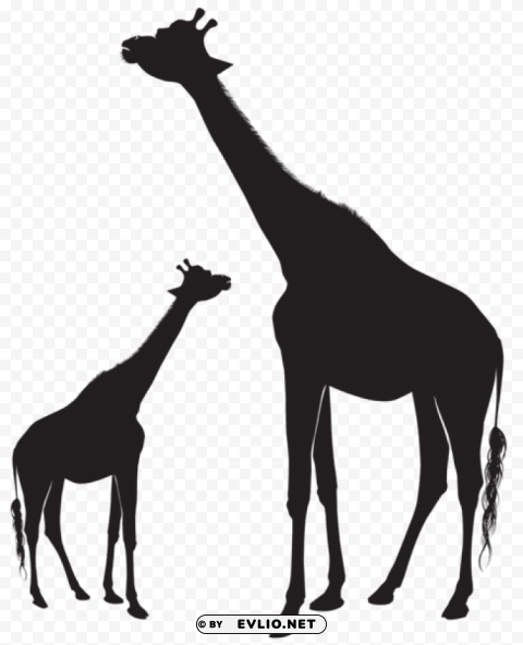 giraffes silhouette PNG with Clear Isolation on Transparent Background