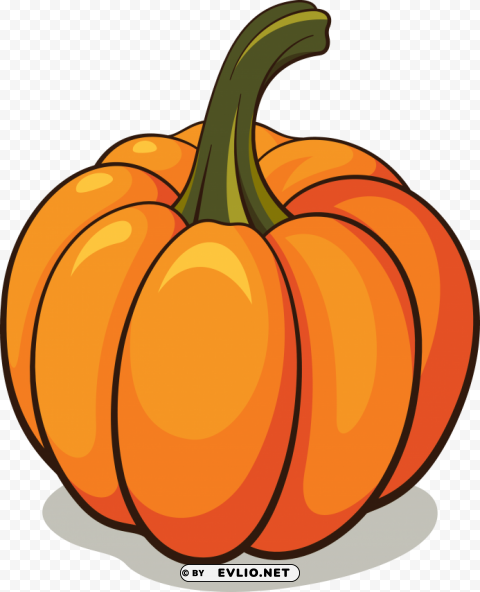 pumpkin Isolated Item on Transparent PNG clipart png photo - ef2dc7ad