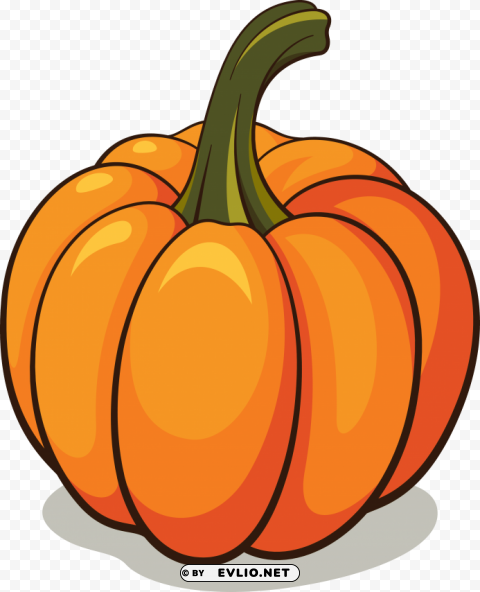 Pumpkin Isolated Item On Transparent PNG